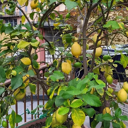 Casa Themeo - Centro Citta Intra * ヴェルバーニア